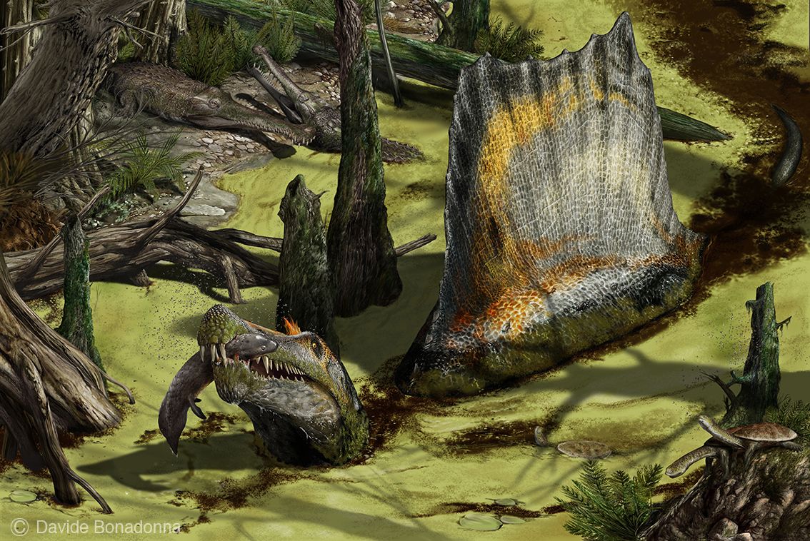 Spinosaurus-s-ulovenou-rybou